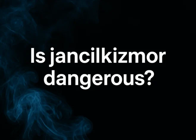 Jancilkizmor Dangerous: A Complete Expert Analysis of Risks, Reality, and Public Concerns